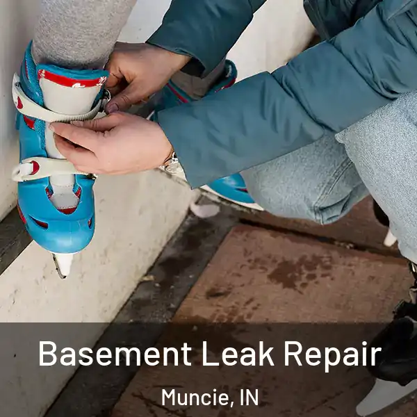  Basement Leak Repair Muncie, IN