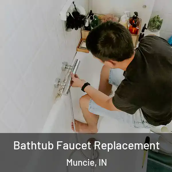  Bathtub Faucet Replacement Muncie, IN