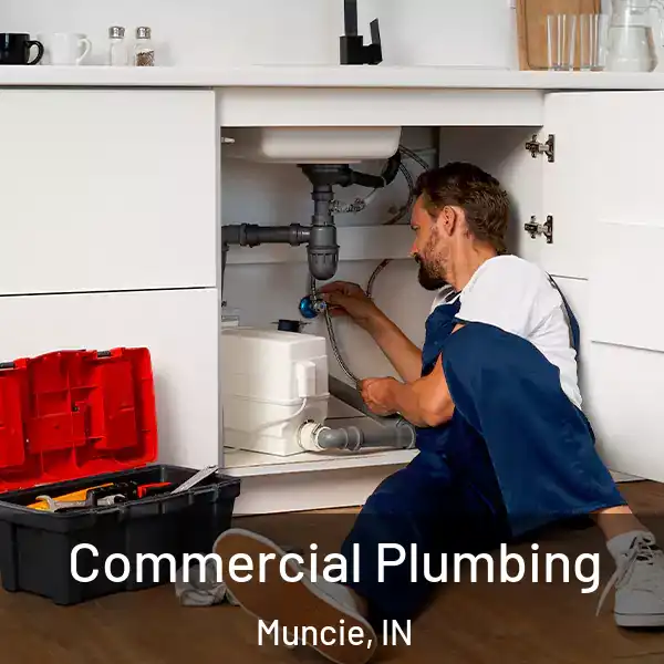 Commercial Plumbing Muncie, IN