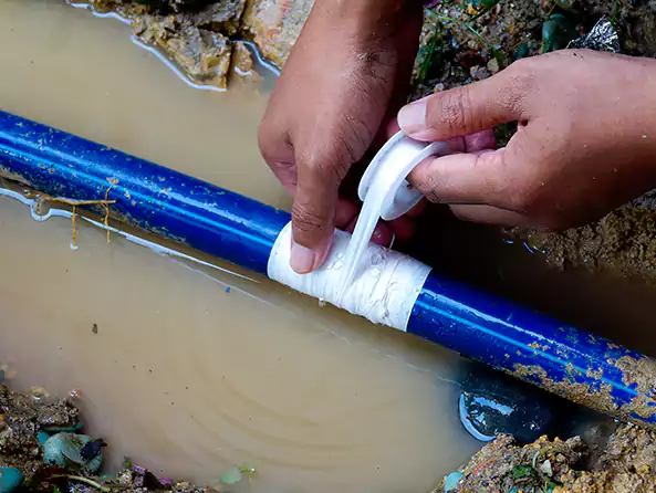  Why Choose Plumbing Pros Muncie for Leak Detection in Muncie, IN?]