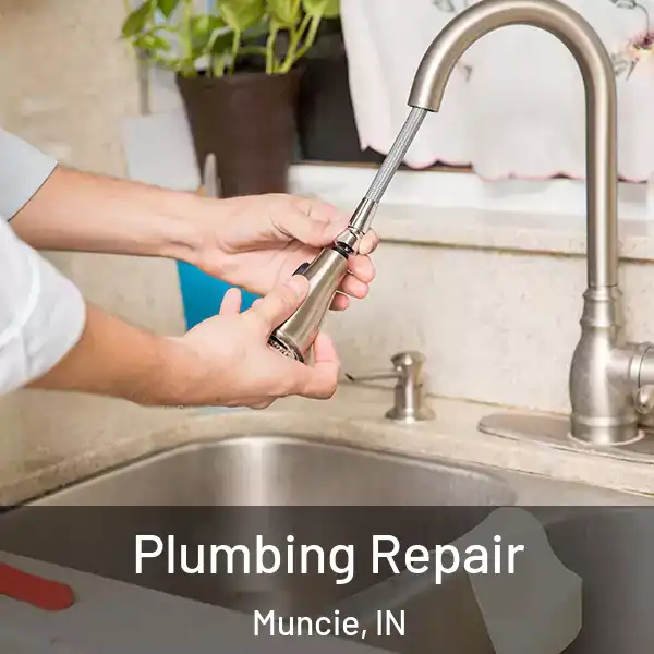  Plumbing Repair Muncie, IN