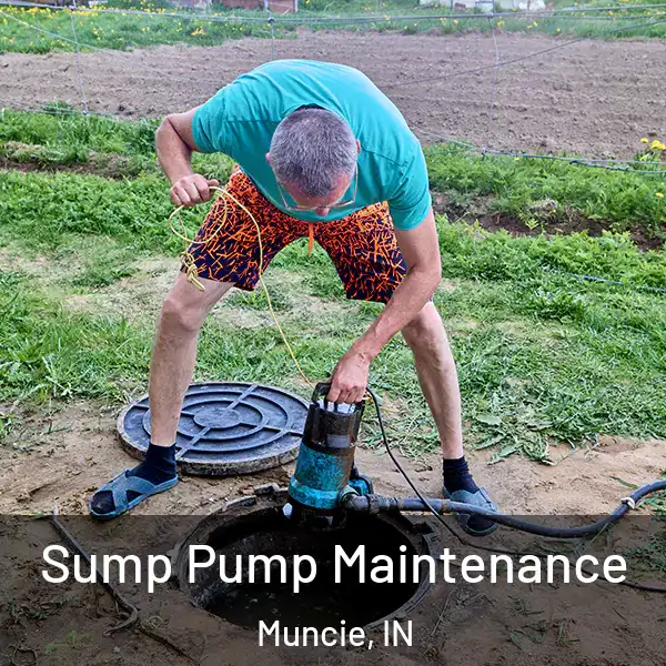  Sump Pump Maintenance Muncie, IN