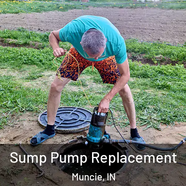  Sump Pump Replacement Muncie, IN