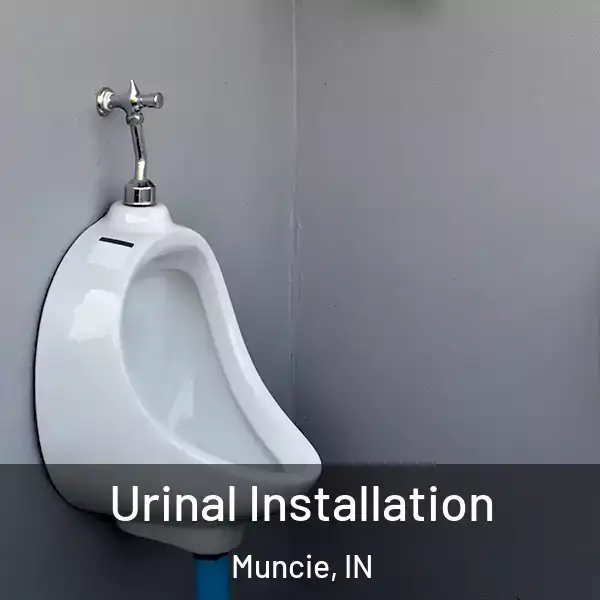  Urinal Installation Muncie, IN