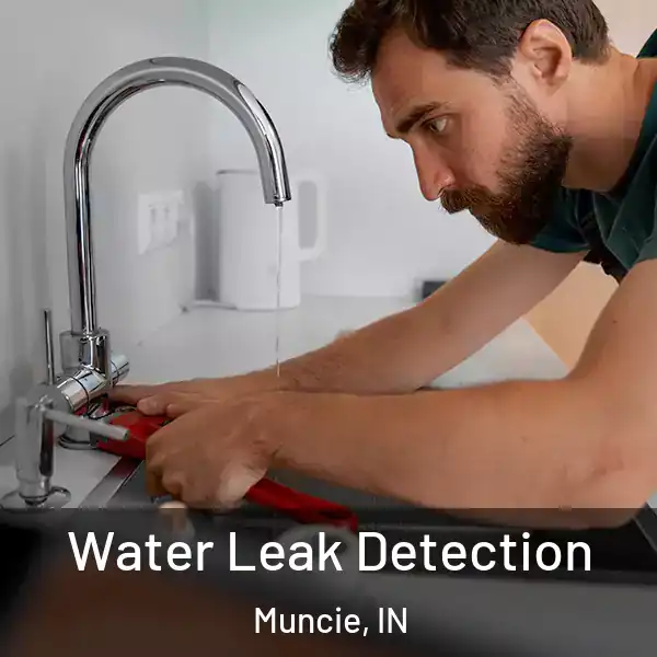  Water Leak Detection Muncie, IN